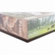 Feldherr Organizer Insert para Parques (con funda) - caja de juego central