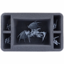 HS105A108 Feldherr foam tray for Daemon Prince