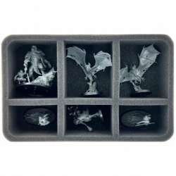 Feldherr Storage Box FSLB075 for Warhammer Quest: Cursed City - Nightwars - Expansion + 7 miniatures