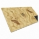 Onus Trianus Playmat Two Sided Desert
