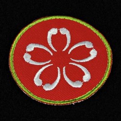 Parche Qapu Khalqi