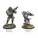 Ariadna - Devil Dogs Teams 2Nd Assault Bat Usamc