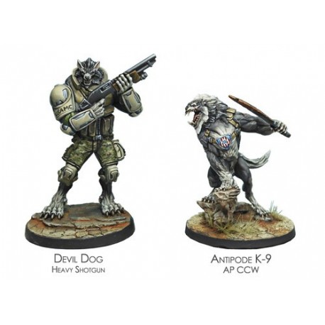 Ariadna - Devil Dogs Teams 2Nd Assault Bat Usamc