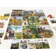 Welcome to Floresta, a competitive board game set in central Portugal