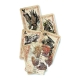 Tinco card game from Devir