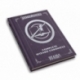 Pathfinder Juego de Miniaturas Guía del jugador Complete Wizard Chronicle (Inglés)