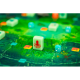 Table game Kelp from Delirium Games