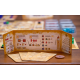 Codex Leicester board game by Leonardo da Vinci from Arrakis Games
