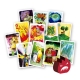 Sylvion (Spanish)