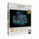 Harry Potter Magic of Hogwarts Glow 1000 pcs