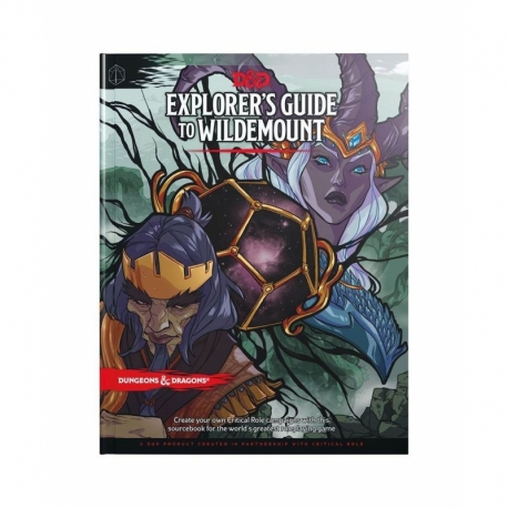 Dungeons & Dragons RPG Adventure Explorer's Guide to Wildemount english