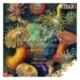 Ernst Haeckel Imagination Puzzle Sea Anemones/Stworzenia morskie (1000 pieces)