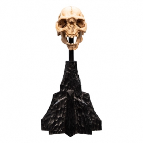 Lord of the Rings Mini Statue Skull of a Moria Orc 13 cm