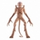 Pacto de Sangre Figura Pumpkinhead 23 cm