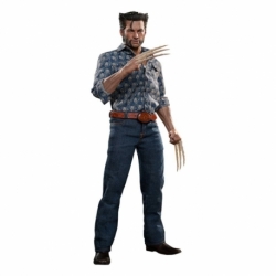 X-Men Días del futuro pasado Figura Movie Masterpiece 1/6 Wolverine (1973 Version) 30 cm