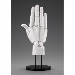 Takahiro Kagami PVC Artist Support Item Hand 1/1 Model Men /R White 22 cm