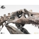 Jurassic Park III ECC Elite Creature Line Estatua 1/12 Spinosaurus Skeleton Bronze 46 cm