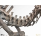 Jurassic Park III ECC Elite Creature Line Estatua 1/12 Spinosaurus Skeleton Bronze 46 cm