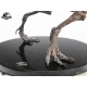 Jurassic Park III ECC Elite Creature Line Estatua 1/12 Spinosaurus Skeleton Bronze 46 cm