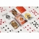 Playing Cards - Bicycle 140Th Anniversary Deck