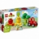 Lego Duplo Fruit and Vegetable Tractor