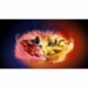 Lego Ninjago - Dragon Spinjitzu Battle Pack