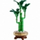 Lego Botanical Lucky Bamboo