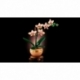 Lego Botanical - Mini Orchid