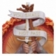 The Lord of the Rings Wall Plaque You Shall Not Pass 30 cm