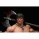 Conan the Barbarian Statue 1/4 Conan 58 cm