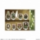 Monster Hunter Wilds Soporte acrílico Chomber Set 15 cm