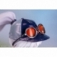 Azur Lane PVC Statue 1/8 Enterprise Wind Catcher 22 cm
