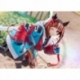 Uma Musume Pretty Derby PVC Statue 1/7 Transcend 24 cm