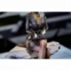 Arknights Limepie Series PVC Statue Kal'tsit The Pilgrim Ver. 25 cm
