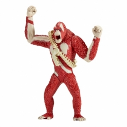 Godzilla y Kong: el nuevo imperio Battle Roar Figura Skar King 18 cm