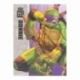 Tortugas Ninja Figura BST AXN Donatello (IDW Comics) 13 cm