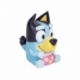 Bluey Hucha