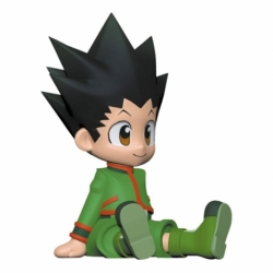 Hunter x Hunter Hucha Gon
