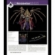 Mythic Legions: The First 10 Year Book Hardcover
