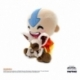 Avatar: The Last Airbender Peluche Aang and Momo 30 cm