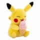 Pokémon Peluche Pikachu with Ice Cream Accy 20 cm