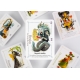 Rebel Princess 2 es una expansión para el juego de cartas Rebel Princess de Zombi Paella
