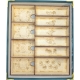 Insert compatible with the Wondrous Creatures board game by Without Mess