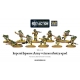 JAPANESE VETERAN INFANTRY SQUAD