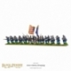 American Civil War: Regiment Charging