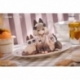 Decorated Life Collection PVC Statue Tea Time Cats x Siamese Cat Azuki-san Friendship Collaboration Exclusive Set 18 cm