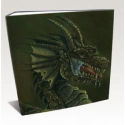 ALBUM 3 ANILLAS HARDBACK DRAGON SHIELD BROWN