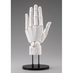 Takahiro Kagami PVC Artist Support Item Hand 1/1 Model Men /L White 22 cm