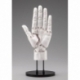 Takahiro Kagami PVC Artist Support Item Hand 1/1 Model Men /L White 22 cm