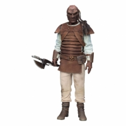 Star Wars: Episodio VI - El retorno del Jedi 1/6 Pagetti Rook 32 cm
